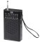 Rádio Trevi RA 7F15 BK