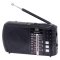 Rádio Trevi RA 7F20 BT černé