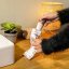 Kosmetický kartáček na obličej Cecotec Bamba FaceCare TotalClean 3371